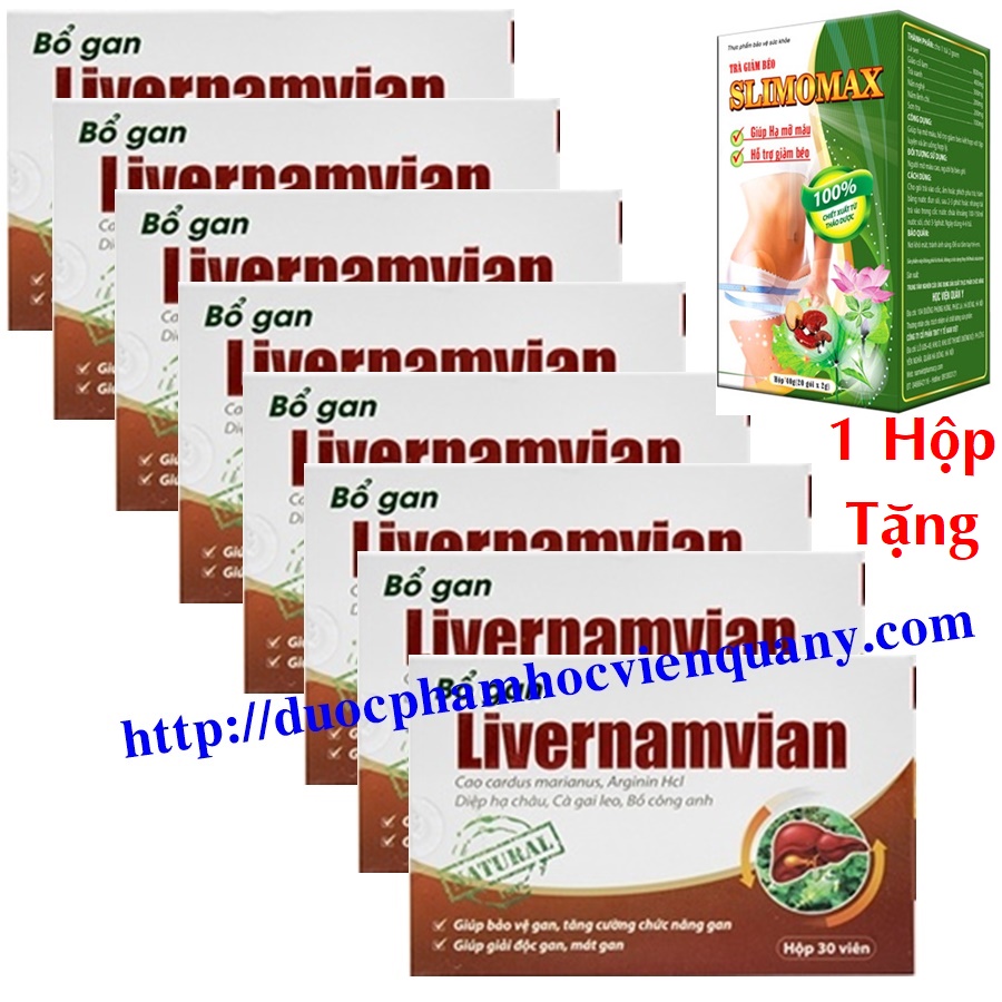 giải độc gan livernamvian