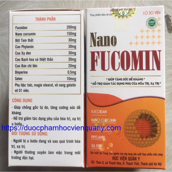 nano-fucomin-2021