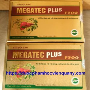 Megatec 20212 Web
